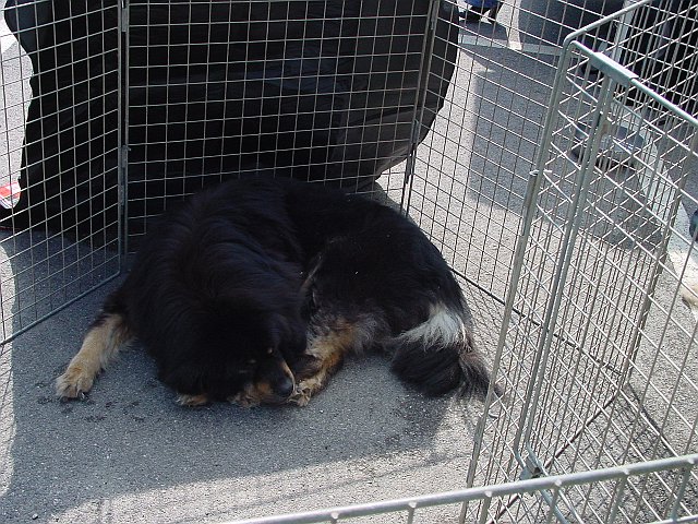 Immagine 009.jpg